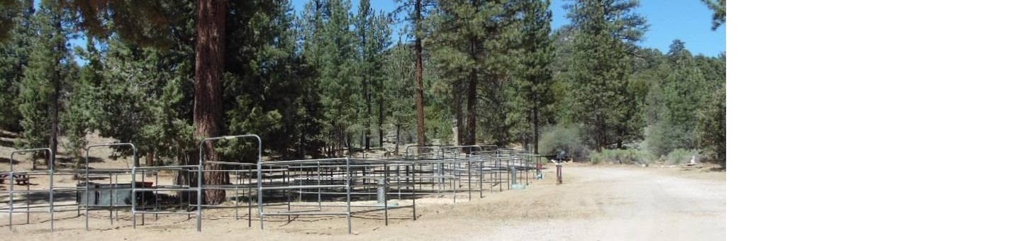 Wild Horse Equestrian Family