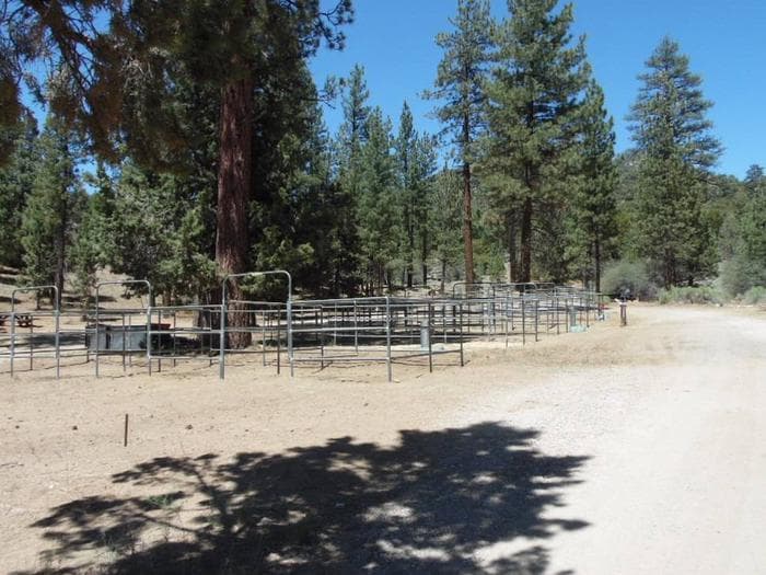 Wild Horse Equestrian Family