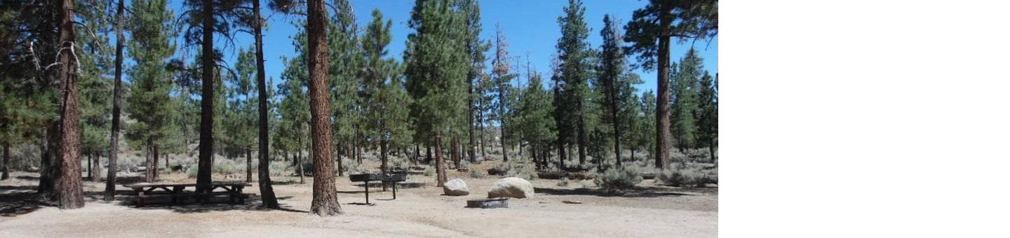 Picnic Table Area at Big Pine Equestrian Group Campground