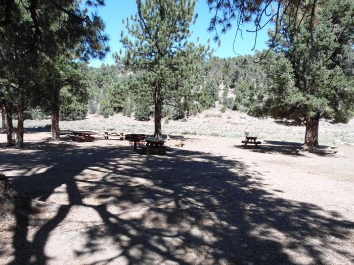 Juniper Springs Group