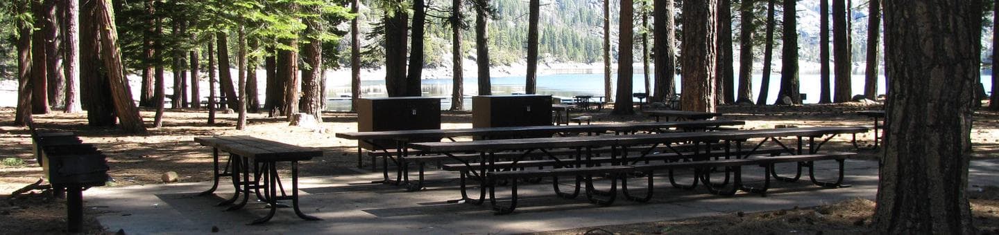 Stanislaus National Forest