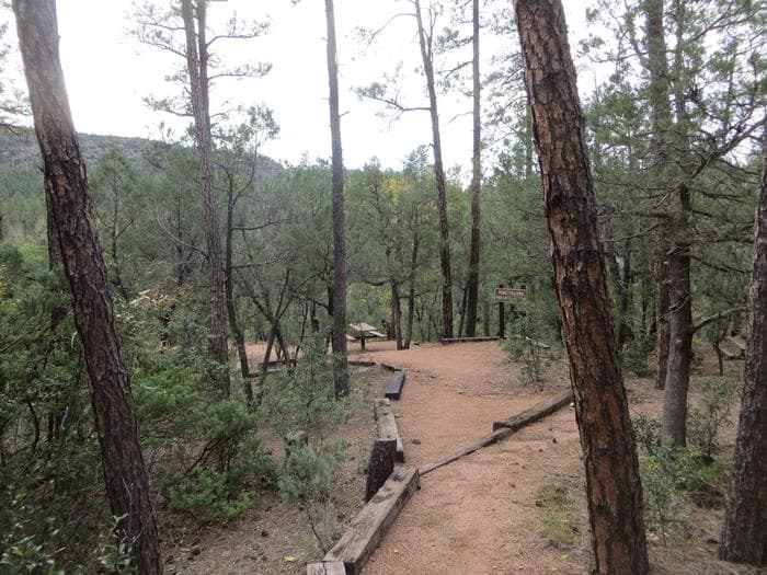Christopher Creek Campground picnic area