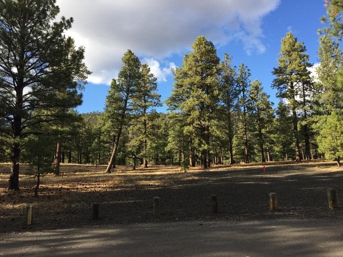 O'Leary Group Campground with Open Space