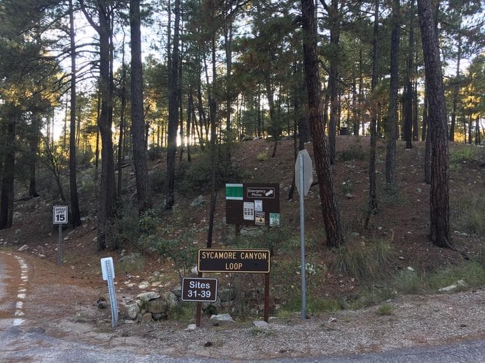 Sycamore canyon loop.