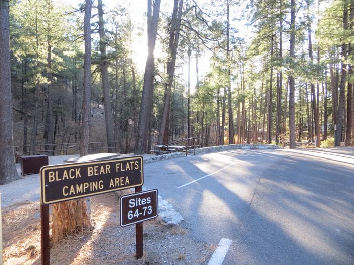 Black Bear Flats