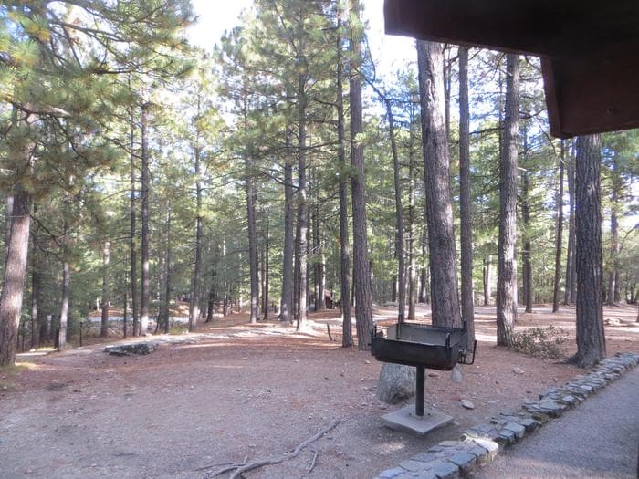 Showers Point Group Campground