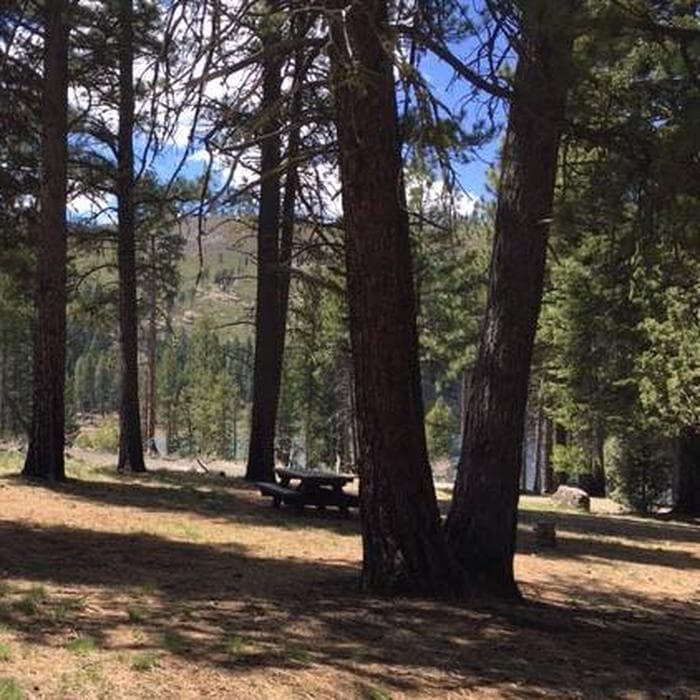 Blue Lake Campground Group Site - Modoc NF (CA)