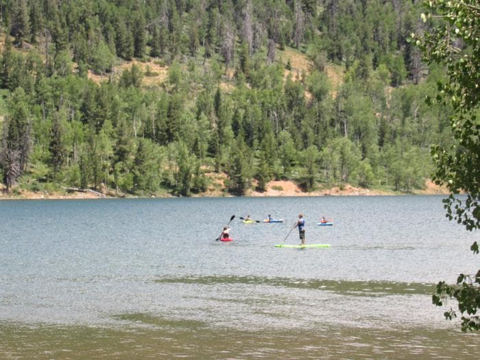 Go Play on the Dixie