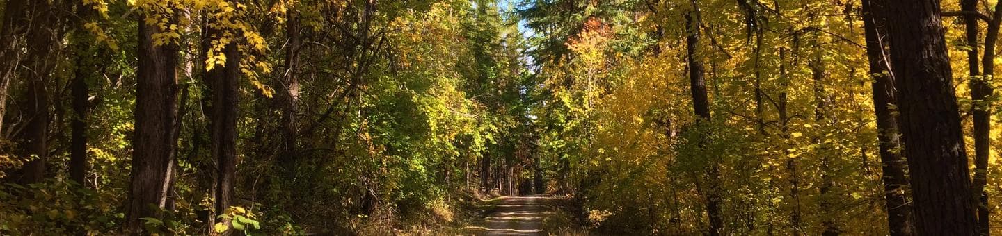 Colville National Forest