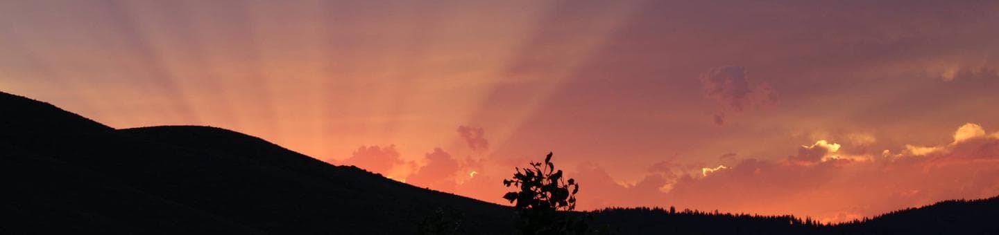 Plumas National Forest