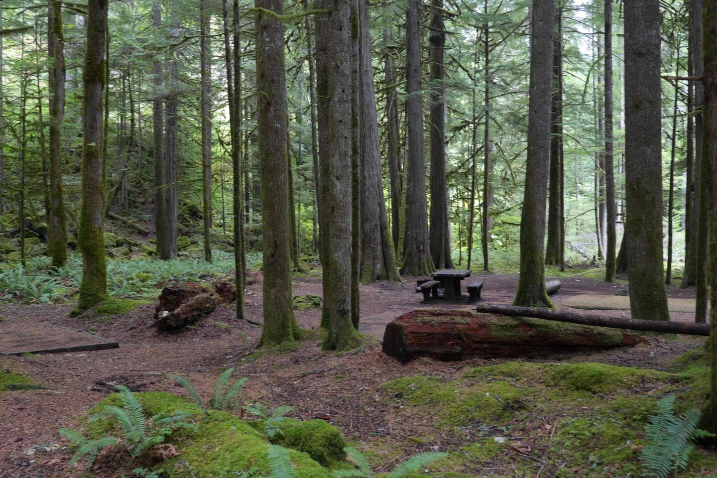 North Fork Campsites