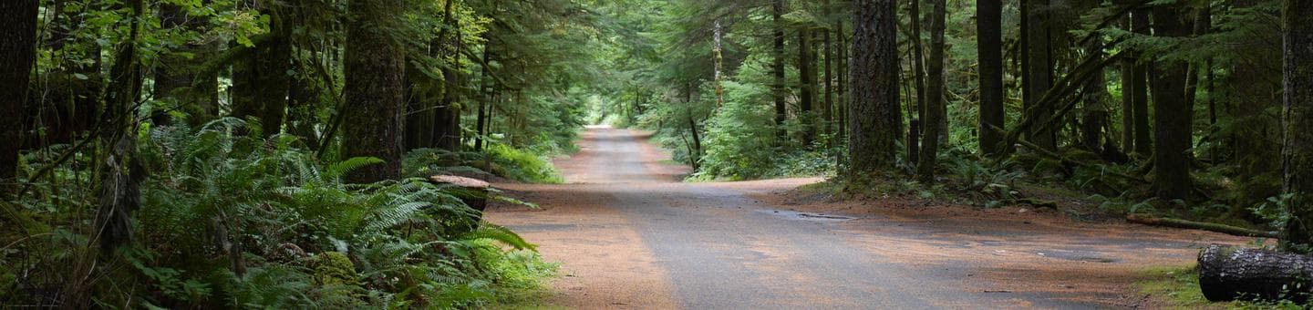 North Fork Campground (WA)