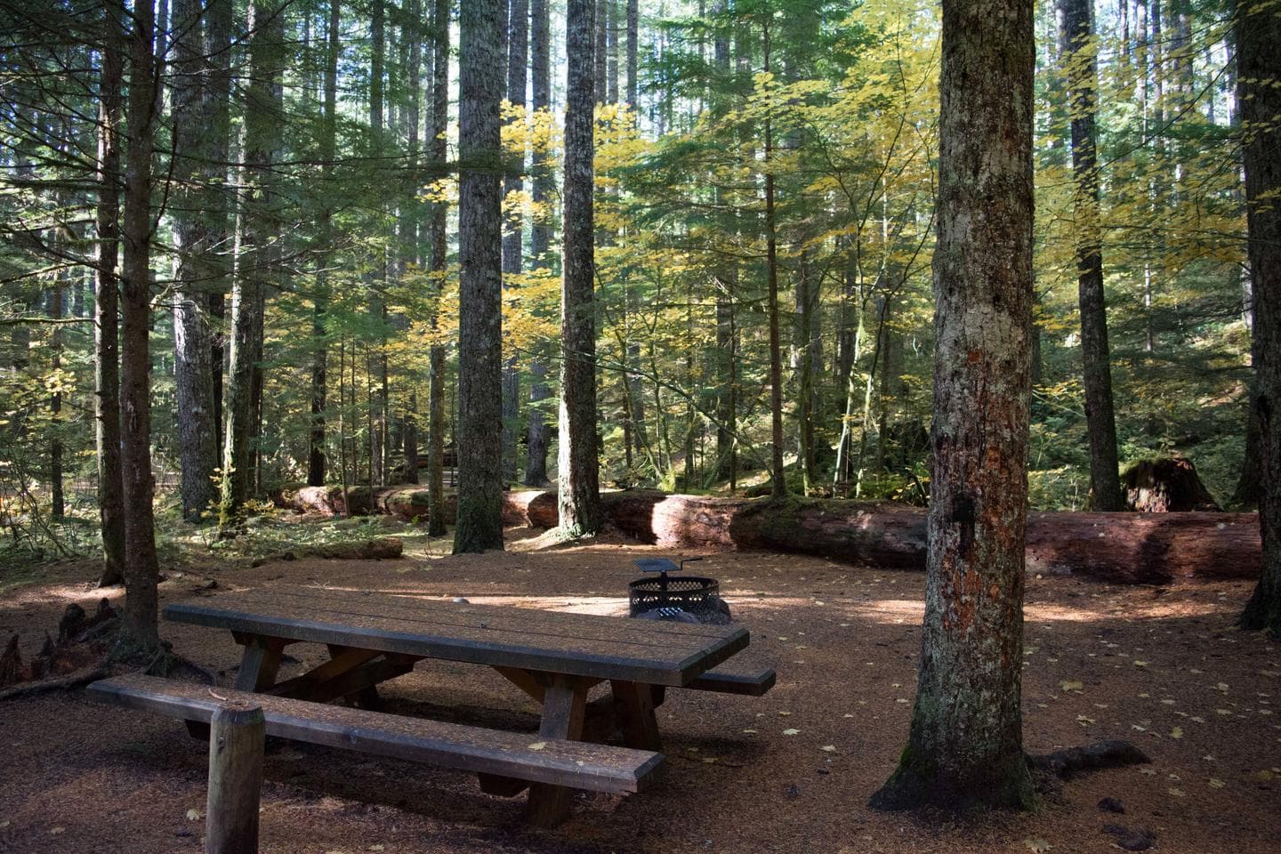 Lower Falls Campground site