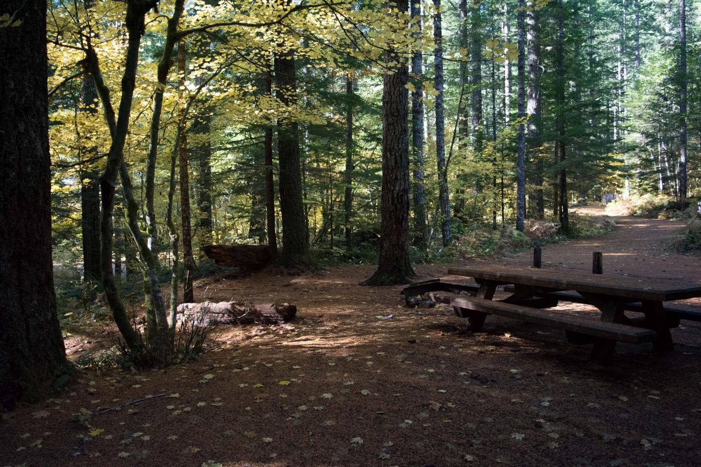 Lower Falls Campground in fall