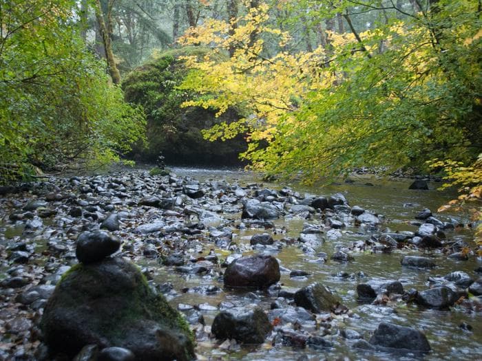 Big Creek (Gifford Pinchot National Forest, WA)