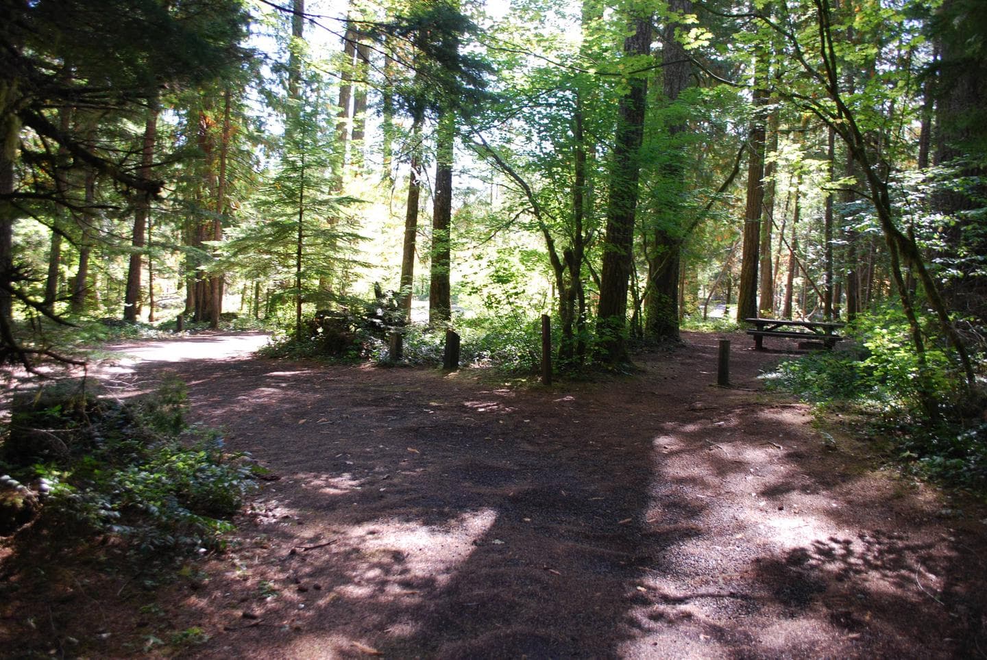 Moss Creek Campground site