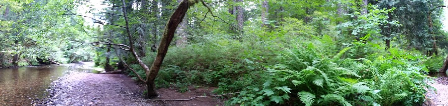 Moss Creek Campground