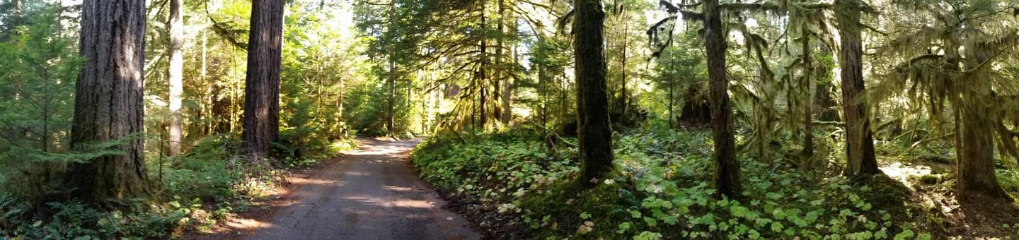 Iron Creek Campground