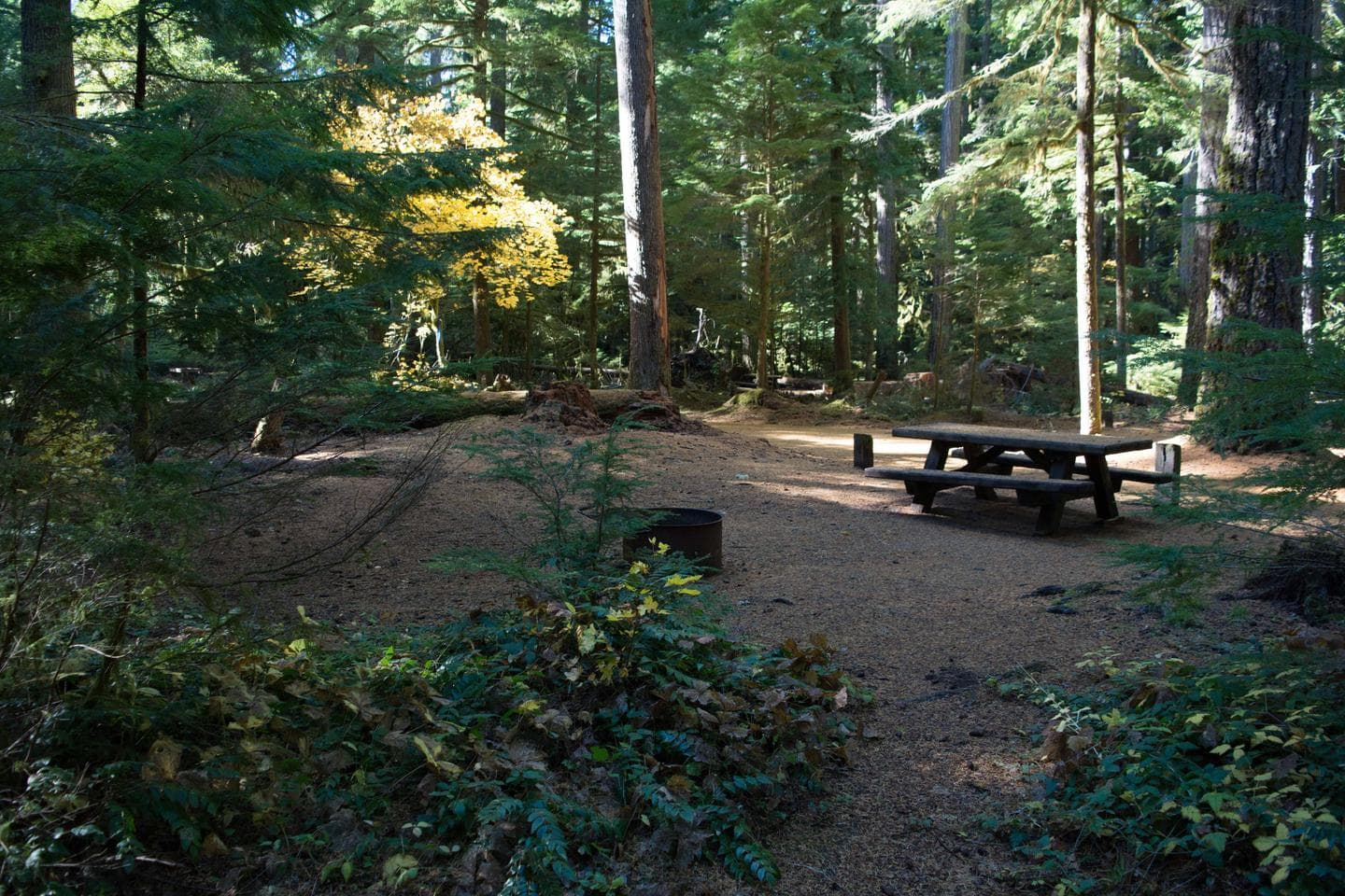 La Wis Wis Campground site
