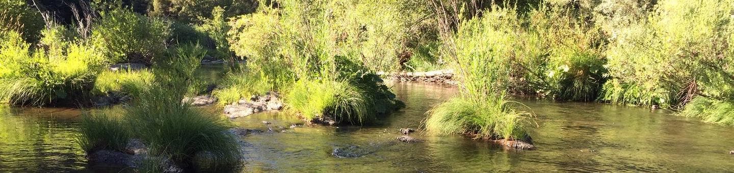 Spanish Creek Campground