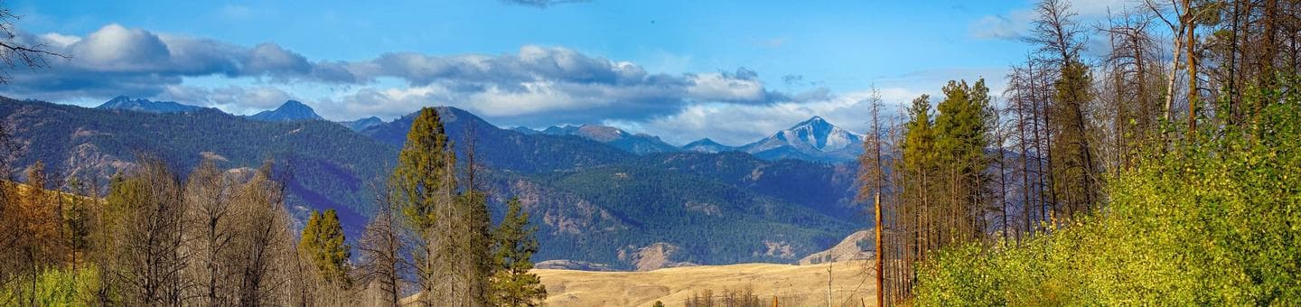 Okanogan-Wenatchee National Forest