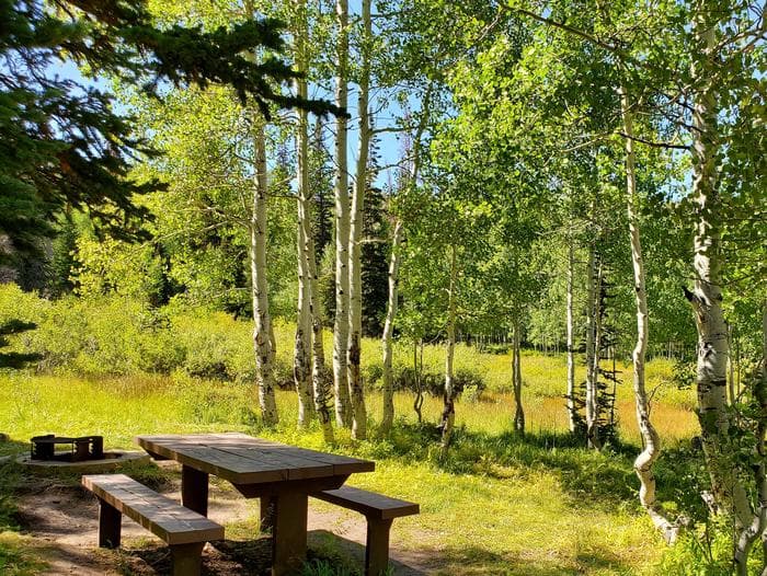 Gooseberry Group Campground