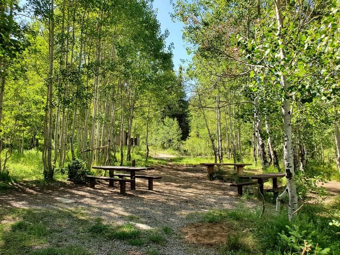 Gooseberry Group Campground Site #3