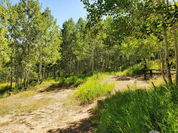 Gooseberry Group Campground Site #6