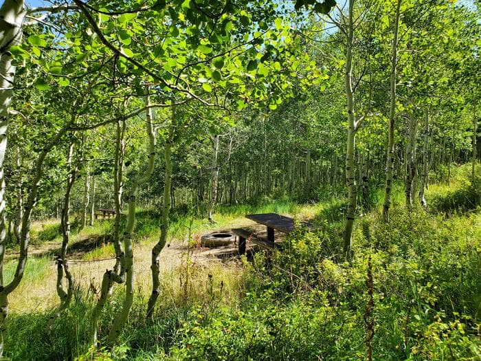 Gooseberry Group Campground Site #6a