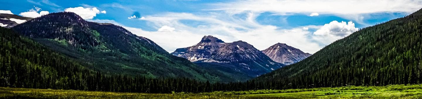 Christmas Meadows Campground