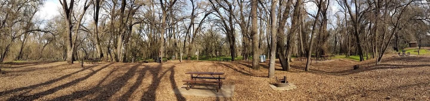 Valley Oak Campground