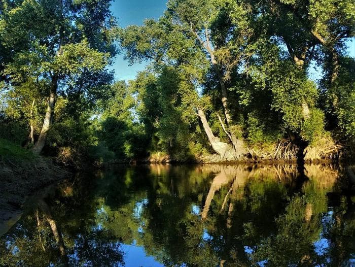 Stanislaus River