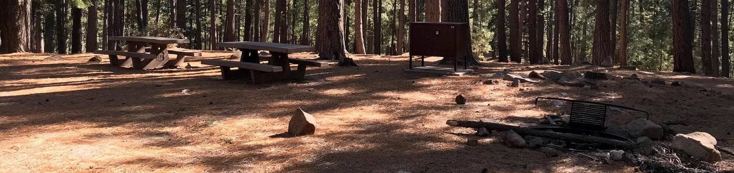 Upper Twilight Group Site