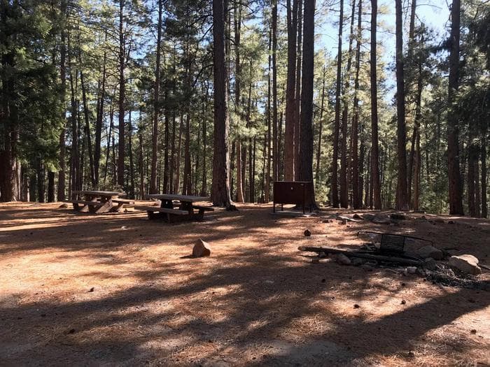 Upper Twilight Group Site