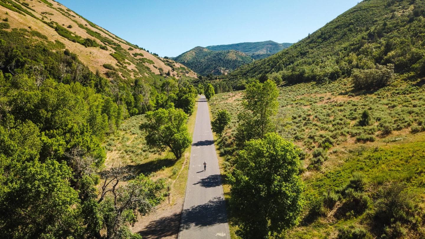 Balsam (Uinta-Wasatch-Cache National Forest, UT)
