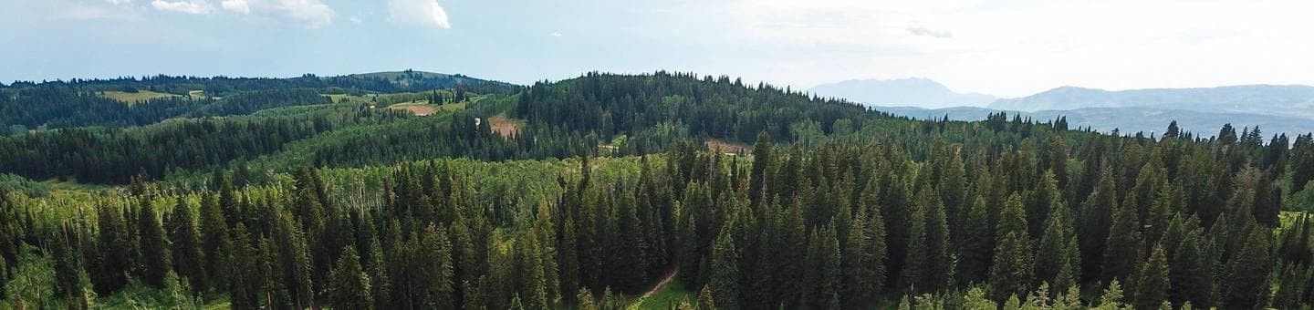 Monte Cristo Campground