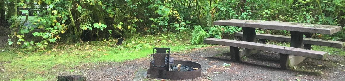 Campsite with picnic table and fire ring.