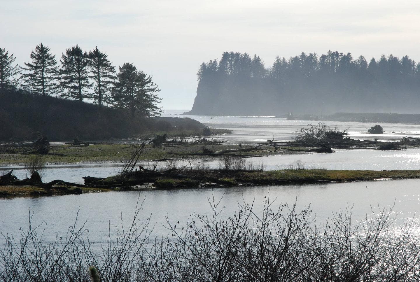 large river lined with big trees