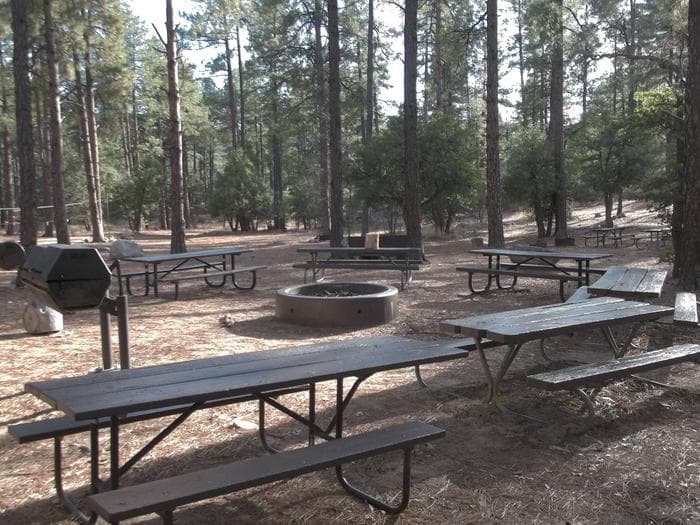 UPPER WOLF CREEK GROUP CAMP FIRE PIT