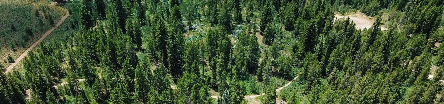 Pine Valley North Wasatch Cach