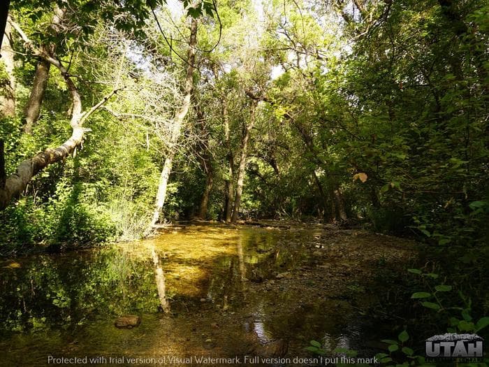 Box Elder Campground