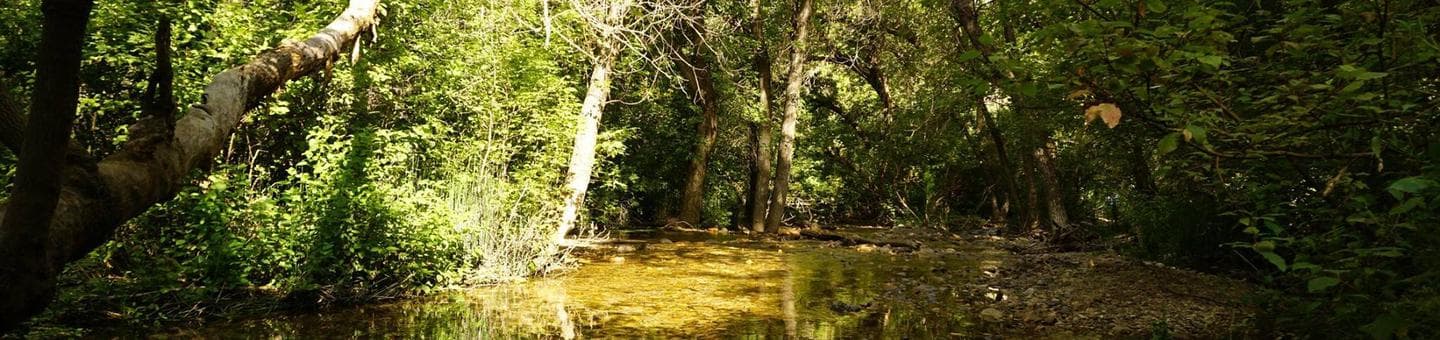 Box Elder Campground