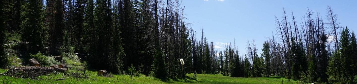 LOST CREEK CAMPGROUND