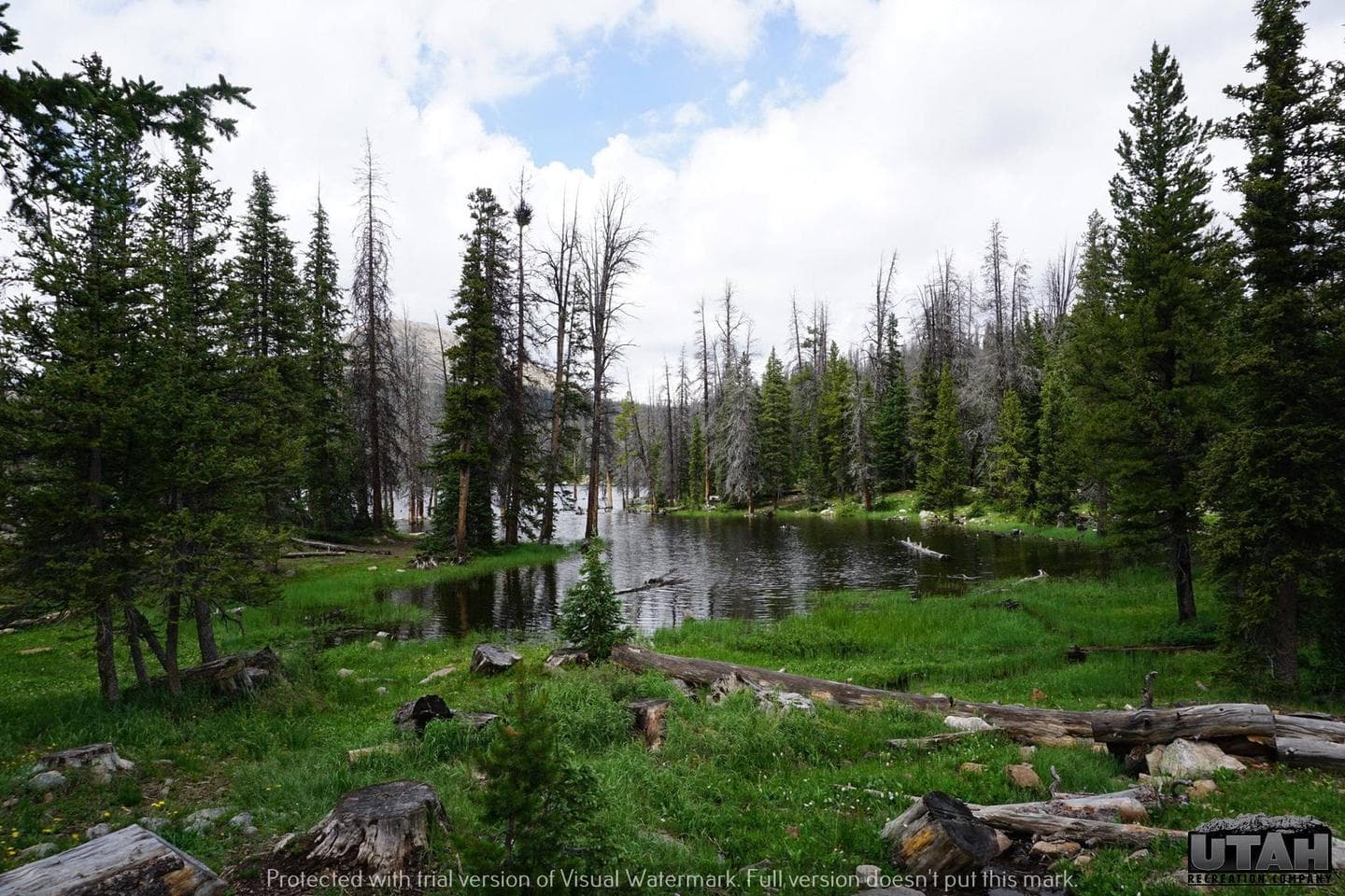 Trial Lake Campground