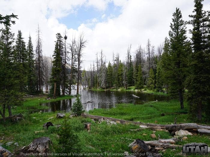 Trial Lake Campground