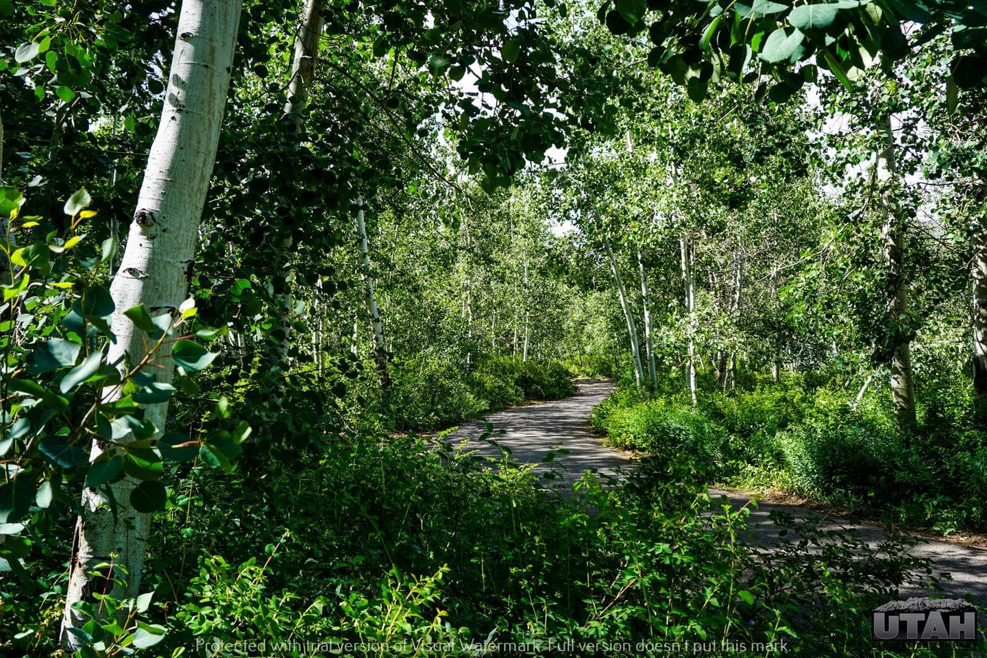 Payson Lakes Campground 10