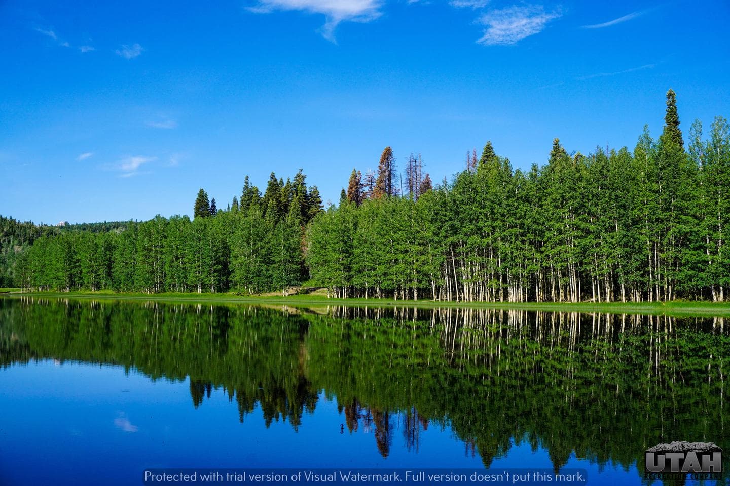 Payson Lakes Campground 13