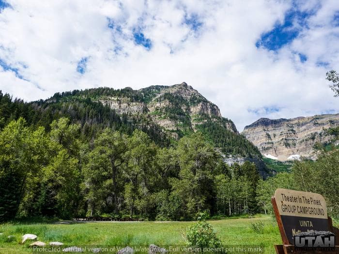 Theater In The Pines