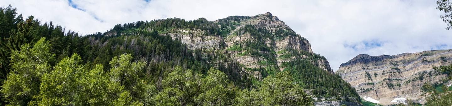 Theater In The Pines