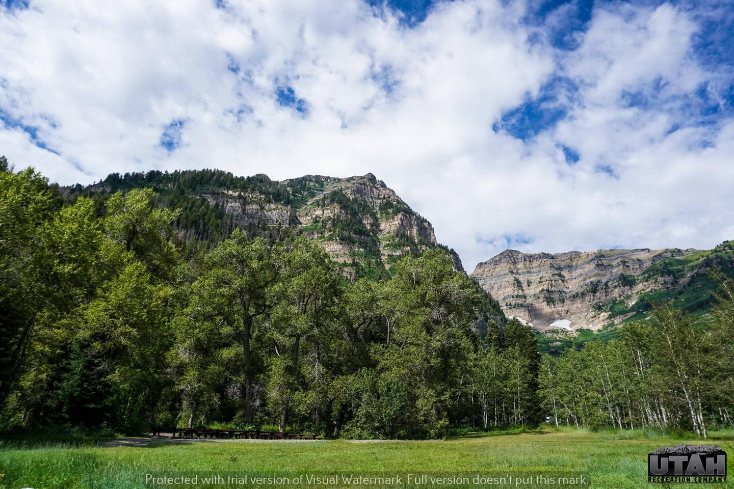 Theater In The Pines